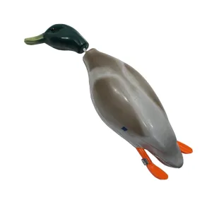 Dokken Dead Fowl Mallard